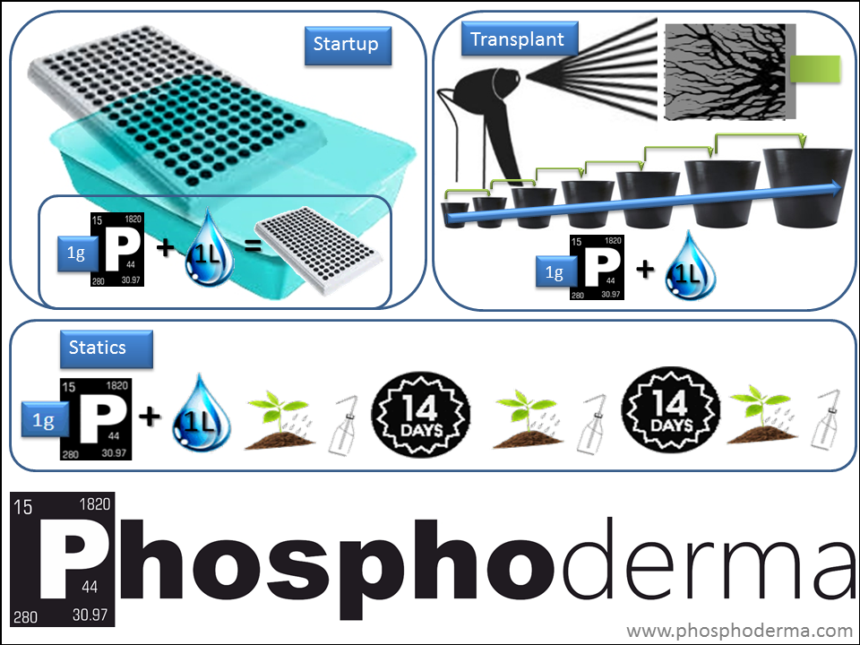 Phosphoderma HowTo use Phosphoderma! Phosphoderma HowTo
