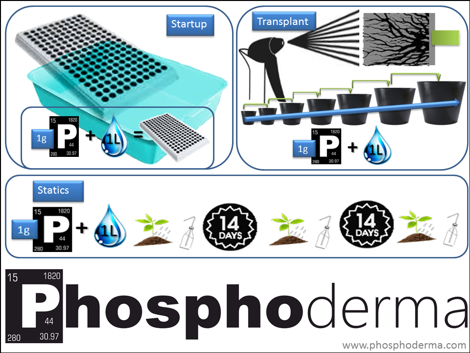 Phosphoderma HowTo